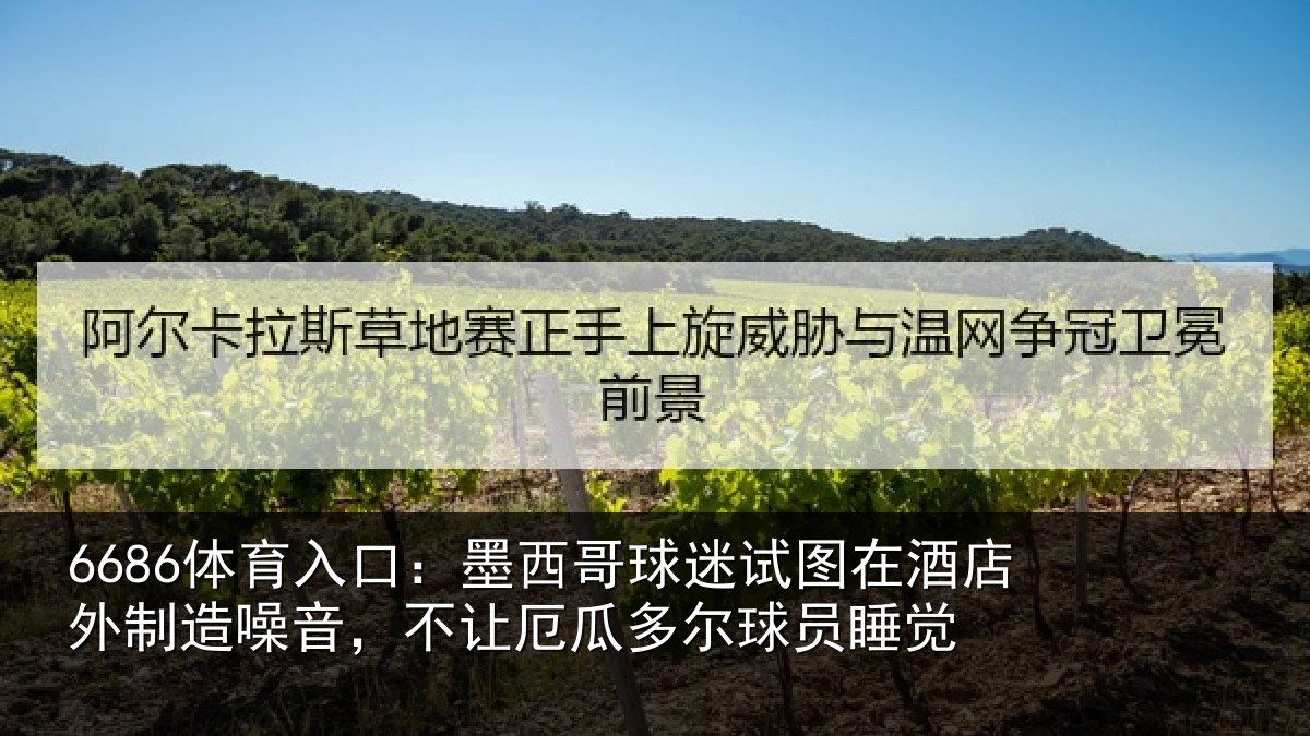 6686体育入口：墨西哥球迷试图相关情况，不让相关情况