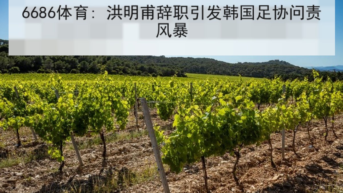 6686体育: 洪明甫辞职引发韩国足协问责风暴
